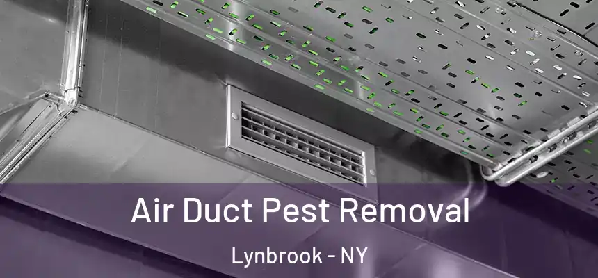 Air Duct Pest Removal Lynbrook - NY