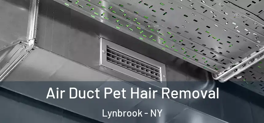 Air Duct Pet Hair Removal Lynbrook - NY