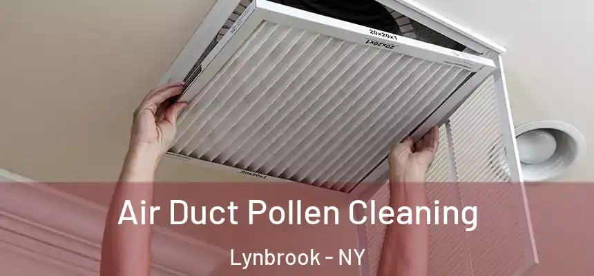  Air Duct Pollen Cleaning Lynbrook - NY