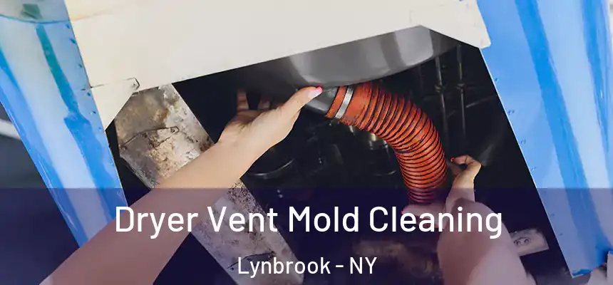  Dryer Vent Mold Cleaning Lynbrook - NY
