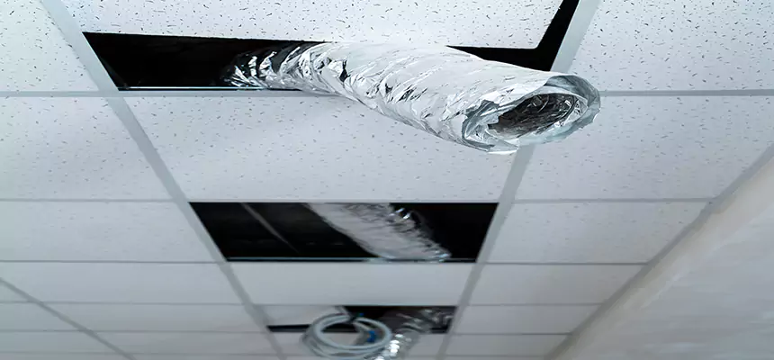 Our Air Duct Pet Hair Removal Services in Lynbrook, NY