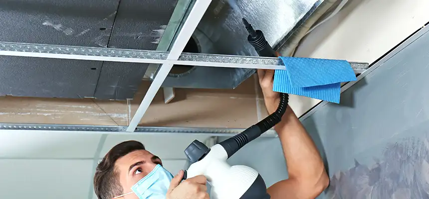 Our Air Duct Rodent Removal Services in Lynbrook, NY