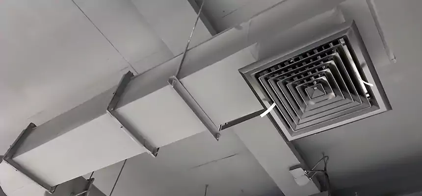 Our Pest Removal From Ducts Services in Lynbrook, NY