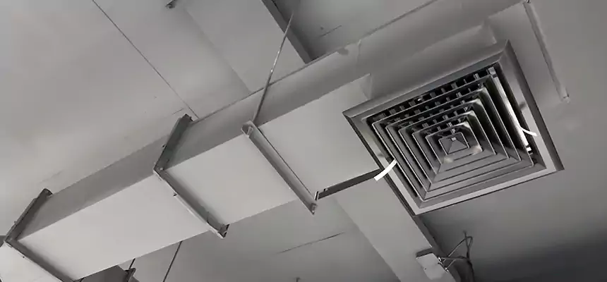 Our Rodent Droppings In Vents Services in Lynbrook, NY