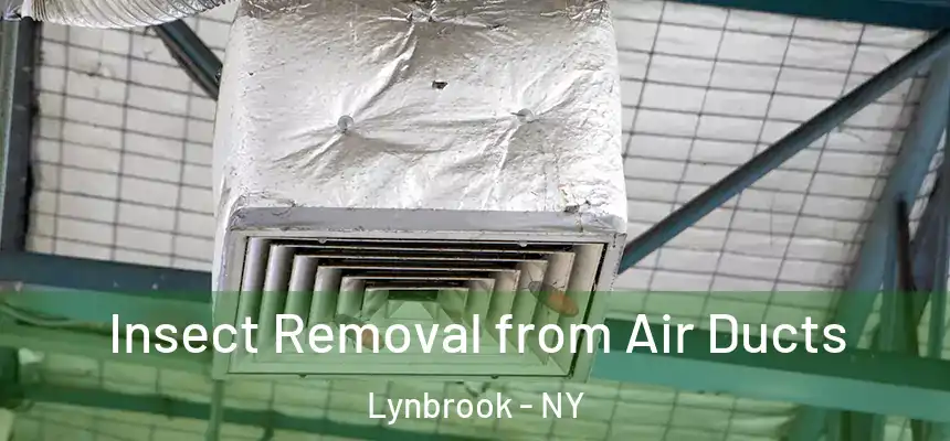 Insect Removal from Air Ducts Lynbrook - NY