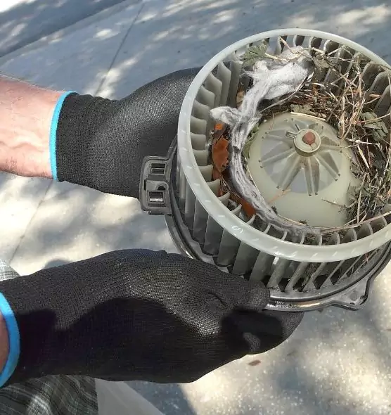 About Air Duct Rat Removal in Lynbrook, NY