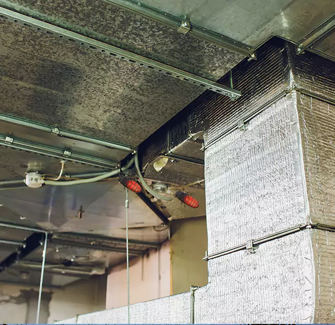 Why Homeowners & Businesses Trust Us in Lynbrook, NY?