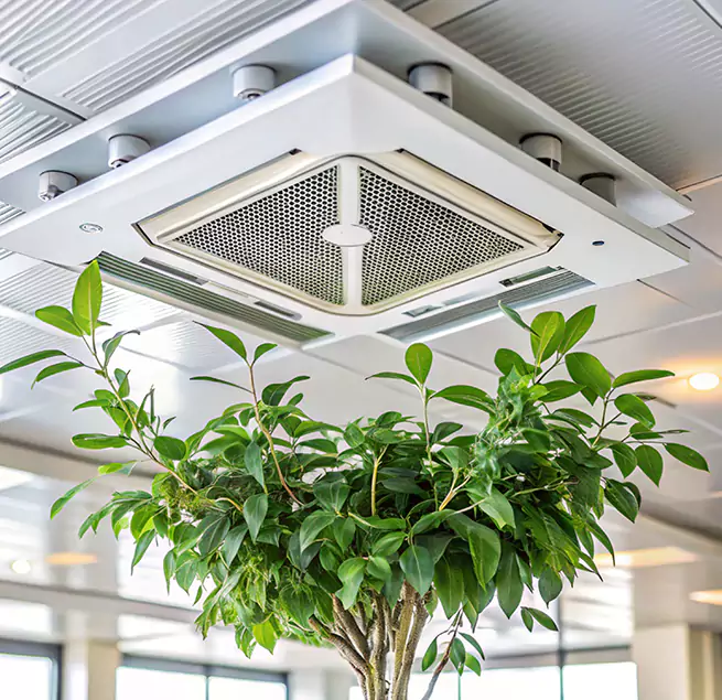 Why Homeowners & Businesses Trust Us in Lynbrook, NY?